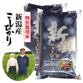楽天市場】【無洗米】業務用 ブレンド25kg(5kgx5袋) 令和6年産 国産米 
