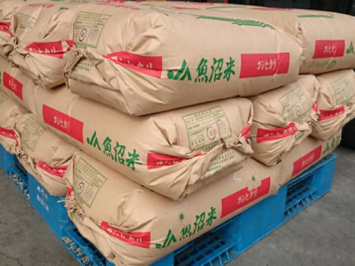 楽天市場】【玄米】新潟 南魚沼産 コシヒカリ 令和7年産 1等米玄米25kg 