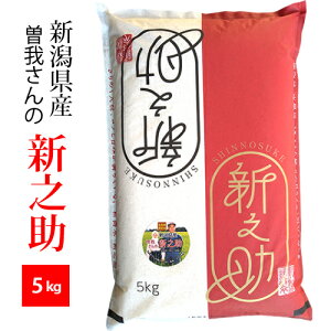 yVāzyāzVY VV ߘa7NY 5kg ]䂳̐VVkCEB400~Aꑼ1,800~