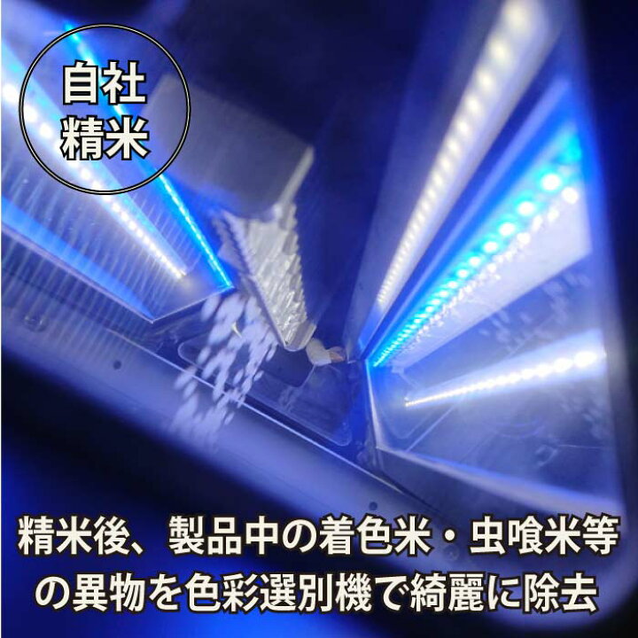 楽天市場】【精米】埼玉産 彩のきずな令和7年産 2kg※北海道・九州400円 