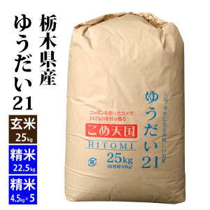 yVāzyāzȖ؎Y 䂤21 ߘa7NY 25kg ]ŐĖkCEB400~Aꑼ