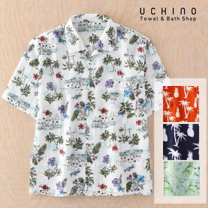 (SALE)Vc AnVc [EFA UCHINO@N[vK[[@AnVc Y u₩  100 gbvX JWA y^Iz Mtg 蕨 v[g