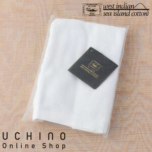 C UCHINO @ۂ̕ΊCȁuWFhv tFCX^I ^I uh uh^I  100% ȃ^I E`m^I y^Iz Mtg 蕨 v[g