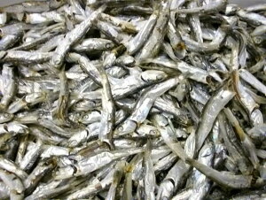 yz ɐYϊH肱150g@쌧Yysmtb-MSz