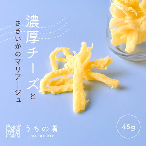yv`ґz ܂ ܂ v`Mtg  ڂĂ Z`[Y `bNt  `[Y  1 45g  ۂ |bL uchinoate