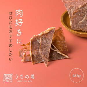 yv`ґz ܂ ܂ v`Mtg KcƋ r[tW[L[ `bNt  r[t 1 40g  ۂ |bL uchinoate