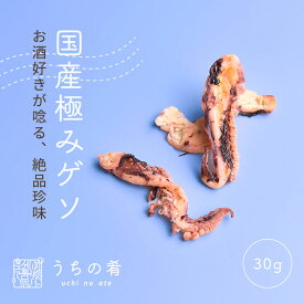 【プチ贅沢】 おつまみ つまみ プチギフト 匠 国産 極み ゲソ 匠の国産極みゲソ チャック付き 珍味 いか 1袋 30g 送料無料 ぽっきり ポッキリ uchinoate