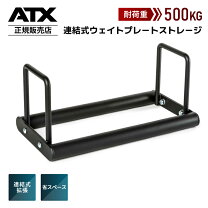 楽天市場】パワーテック ウエイトプレートストレージホーンの通販