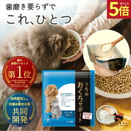 【20日限定★ポイント5倍】うちのおくちサポート 犬 猫 ペット 歯磨き 口腔 サプリ サプリメント 40g入 …