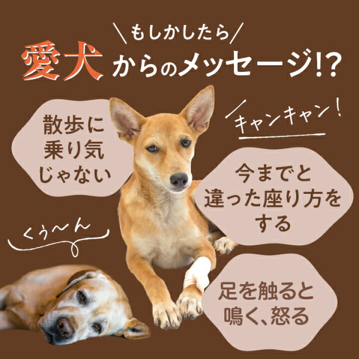 直営店 犬 猫 用 関節 サプリメント アースリアーマー ゴールド 90粒 Gold ペット サプリ コンドロイチン グルコサミン 骨 膝 痛み 炎症 緩和 チワワ トイプードル コーギー ダックス ヘルニア 膝蓋骨 脱臼 シニア 高齢 スコティッシュ マンチカン パテラ Fucoa Cl 直営店 犬 猫 用 関節 サプリメント アースリアーマー ゴールド 90粒 Gold ペット サプリ コンドロイチン グルコサミン 骨 膝 痛み 炎症 緩和 チワワ トイプードル コーギー ダックス ヘルニア 膝蓋骨 脱臼 シニア 高齢 スコティッシュ マンチカン パテラ Fucoa Cl