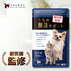 y40%OFFIj[AZ[Iz̔]T|[g  L VjA NIC Tvg Tv 30  L EPA DHA IK3 ibgELi[[ dha epa C`Et Y V