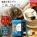 うちのおくちサポート 犬 猫 ペット 歯磨き 口腔 サプリ サプリメント 40g入 デンタルケア ジェル 歯ブラシ デンタル…