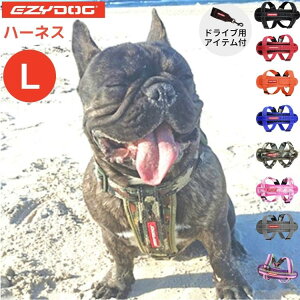 EZYDOGy n[lX LTCY zC[W[hbO ^  Lk VbNz Sy  AEghA