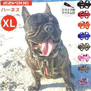 EZYDOGy n[lX XLTCY zC[W[hbO ^  Lk VbNz Sy  AEghA