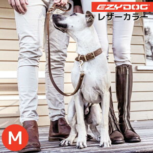 EZY DOGyU[J[ Mzp  v~AU[RNV C[W[hbO