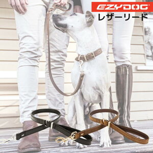 EZY DOG U[[hyzp v~AU[RNV C[W[hbO