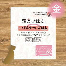 漢方ごはん げんかつごはん【 金（ 秋や乾燥したときに / 皮膚や呼吸器にやさしい）】犬用 ウェットフード レトルト 80g（馬肉 豚レバー 薬膳 東洋医学 ヒューマングレード 総合栄養食)