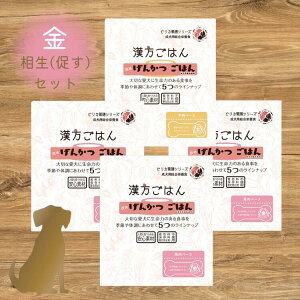 ͂ 񂩂͂yZbg î͂3Eŷ͂1jzp EFbgt[h ggi EV yp n ؃o[ V mw q[}O[h h{H)