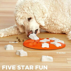 yg[cEQ[/T[Nzp  mgC pY j[iEIbg\ DADWAY