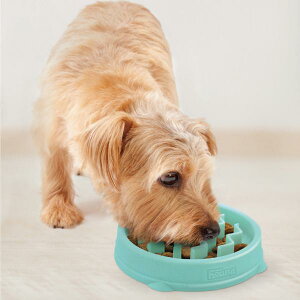 ダッドウェイ【ファン＆スロウフィーダーボウルXS】犬用フードボウル食器早食い防止アウトワードハウンド