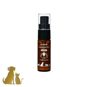 VO y n~KLTv PRO z p Lp roebN