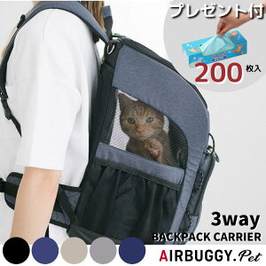 yBOShL200܂tzGAoM[ 3way obNpbNLA M[yzybgL[ bN AIRBUGGY