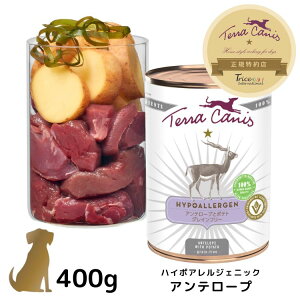 eJjX nC|AWFjbNyAe[vzJVJ p  400g AM[ Y OCt[ EFbgt[h