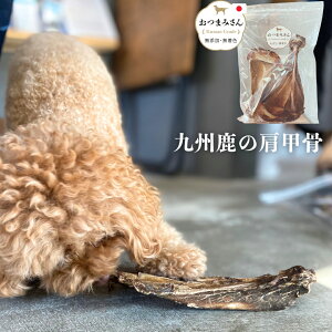 yz Y Y B VŘb y 񂱁[̃Rc 100gz̎q C ܂݂ V[Y iWrG  xj\  p  VR 쐶 Y  {[