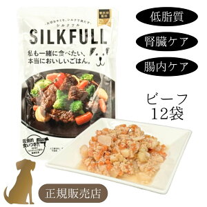 sK̔Xt VNt yr[t12܃Zbgzpgg 100g ( ჊ tPA PA ᎉ ᎉb SILFULL p Tvg bun ybgp Tv pTvg EGbgt[h