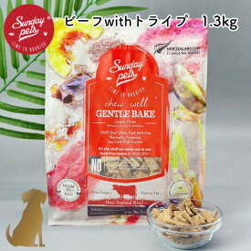 入荷済 サンデーペッツ ジェントルベイク 犬用【 ビーフwithトライプ 】1.3kg グレインフリー ドライフード 総合栄養食