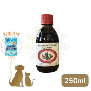 y BOS(15)̂܂t z Aj}XgXi Lbh j 250ml yf Tvg K̔X Ki anima-strath
