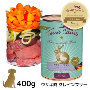 eJjX OCt[yETMzp  400g Y t[ Ngt[ EFbgt[h h{H