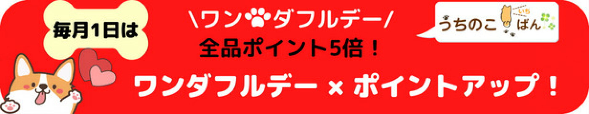 ワンダフルデー