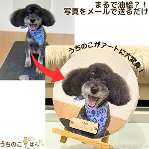 ̂LoXtHgU[ ybg A I[_[Ch ʐ^ AObY   L Mtg IWi a LO CeA tHg ybg{ e Lo