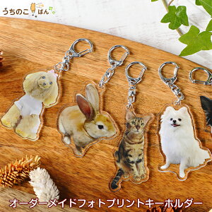 チャーム オーダー その他犬用ペットグッズの人気商品 通販 価格比較 価格 Com