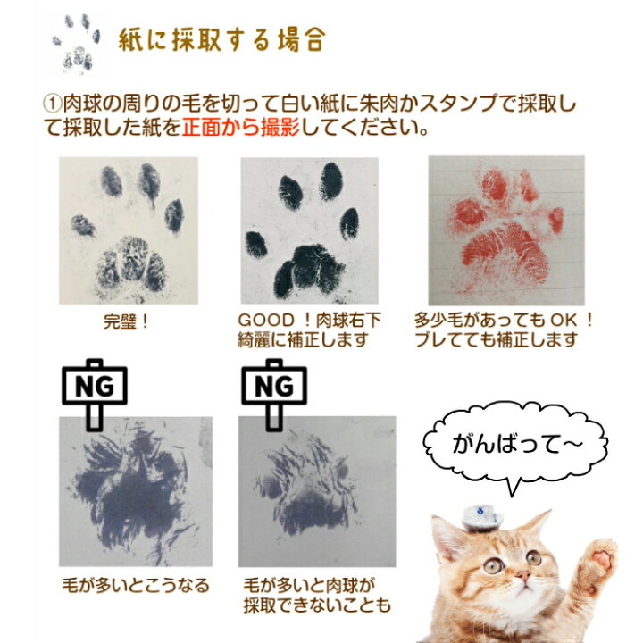 楽天市場 うちのこの肉球本革タイプ 肉球 キーホルダー ペット 迷子札 メモリアルグッズ ペットロス 虹の橋 かわいい 革 レザー ペット メモリアル 仏具 手形 足型 足形 肉球 名入れ オーナーグッズ 犬手形 猫手形 犬 猫 記念 オーダーメイド うちのこいちばん