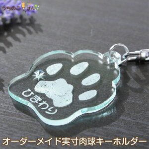犬用ペットグッズ 手形足型の人気商品 通販 価格比較 価格 Com