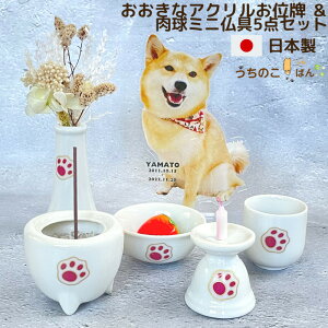 ȃANʔvƓ5_Zbgybg  Zbg d A ~j ybg  ybg{   ̂ 茳{    L  ` 