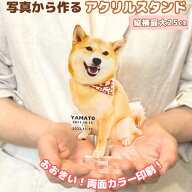 おおきな飛び出すはいちーず■ペット 写真 アクリル メモリアル オーダーメイド 名入れ 犬 猫 ギフト オ…