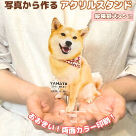 おおきな飛び出すはいちーず■ペット 写真 アクリル メモリアル オーダーメイド 名入れ 犬 猫 ギフト オリジナル 誕生日 記念日 位牌 遺影 フォト ペット供養 仏具 父の日 母の日 虹の橋 オーナーグッズ アクリルスタンド アクスタ 切り抜き 画像 可愛い オーナーズグッズ