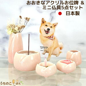 ȃANʔvƂF5_Zbgybg  Zbg d A ~j ybg ʔv ybg{   茳{    L  AO