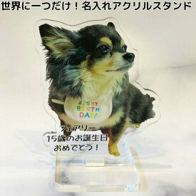 飛び出すはいちーず■ペット 写真 アクリル メモリアル オーダーメイド メモリアルグッズ 名入れ 犬 猫 ギフト オリジナル 誕生日 記念日 位牌 遺影 フォト ペット供養 仏具 父の日 母の日 虹の橋 うちのこ記念日 オーナーズグッズ アクリルスタンド アクスタ 手元供養