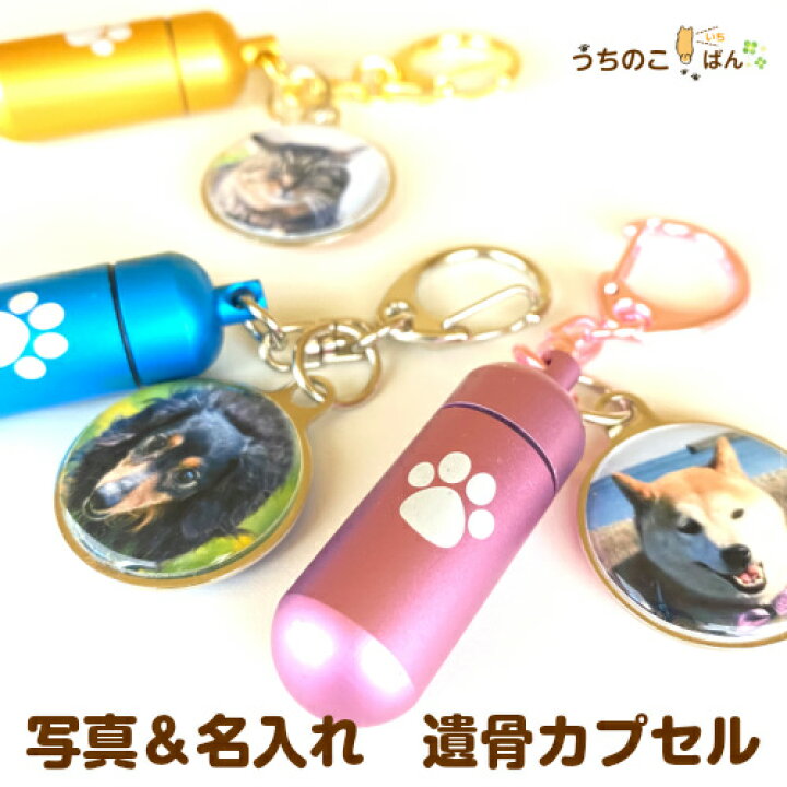 楽天市場 わんにゃんカプセル ペット 遺骨 キーホルダー ペット 遺骨カプセル 手元供養 オーダーメイド メモリアル 写真 キーホルダー 名入れ 犬 猫 プレゼント お返し チャーム スマホ かわいい 肉球 遺骨 毛 爪 ケース 遺骨入れ 足 手 チャームj うちのこいちばん