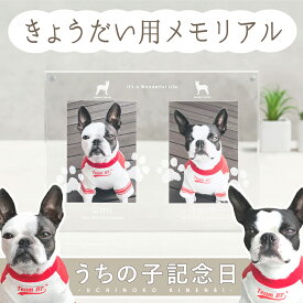 ＼超お得な20％OFFクーポン配布／ うちの子記念日・きょうだいフォトフレーム／ペット メモリアルグッズ ペット用 足あと スタンプ 足型 足形 足跡 足あと 肉球 スタンプ メモリアルグッズ おしゃれ 記念 犬 猫 誕生日 グッズ 飾り付け フォトプレート 写真 供養 ペット 仏壇