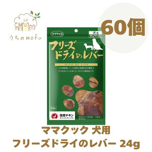 }}NbN t[YhC p o[ 24g TT~ t[YhC̃o[  ybg  a