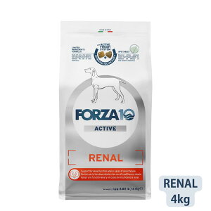 tHc@10 FORZA10  fANeBu i[ANeBu Ig CeXeBi EFCgRg[ I[ fC[xg 2kg tHc@fBG` 畆 t  o PAÖ@H