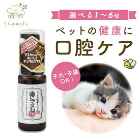 歯にマヌカPK 30g マヌカ 天然365 ペット用 歯磨きジェル 歯磨き ジェル 犬 猫 イヌ ネコ シニア 口腔 口臭 歯周 ケア 口内環境 口内炎 歯肉炎 マウスケア デンタルケア ハミガキ マヌカハニー はちみつ 30ml