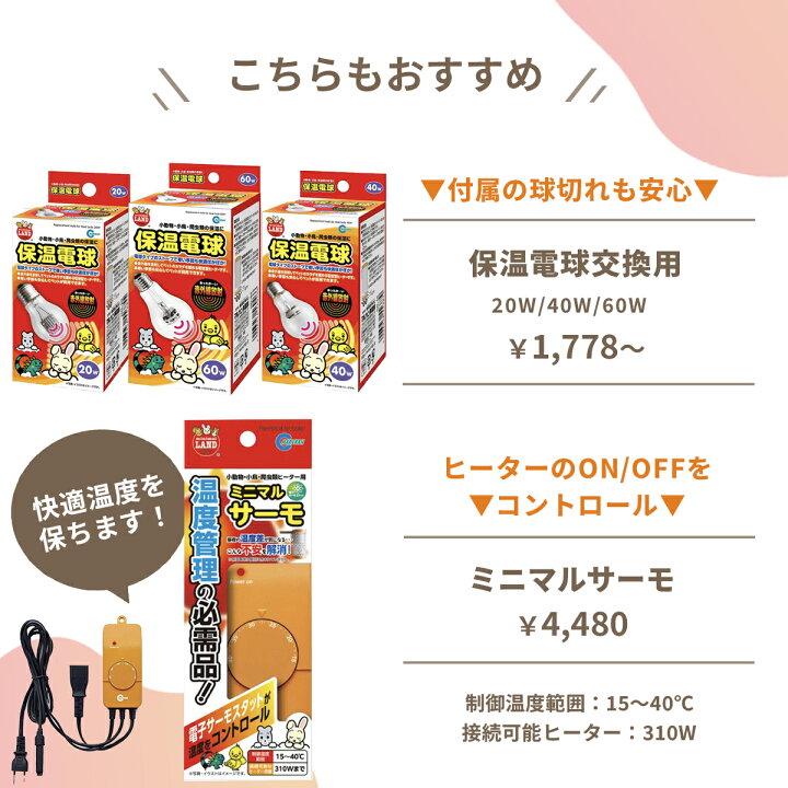 楽天市場】マルカン ミニマルランド 保温電球 20W 40W 60W カバー付 