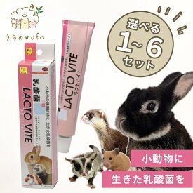 三晃商会 ラクトバイト 50g 栄養補助食 乳酸菌 うさぎ フェレット モルモット ペースト 栄養補助食品