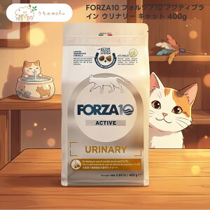 �yP5�{���ő�8��OFF�N�[�|���z�yFORZA10�z�t�H���c�@10 �A�N�e�B�u���C�� �E���i���[ �L���b�g 400g x5�� ���L�p �C�^���A�� �h���C�t�[�h �L���b�g�t�[�h ���X ���I�f�� ���� ���� AFS���z�� �g